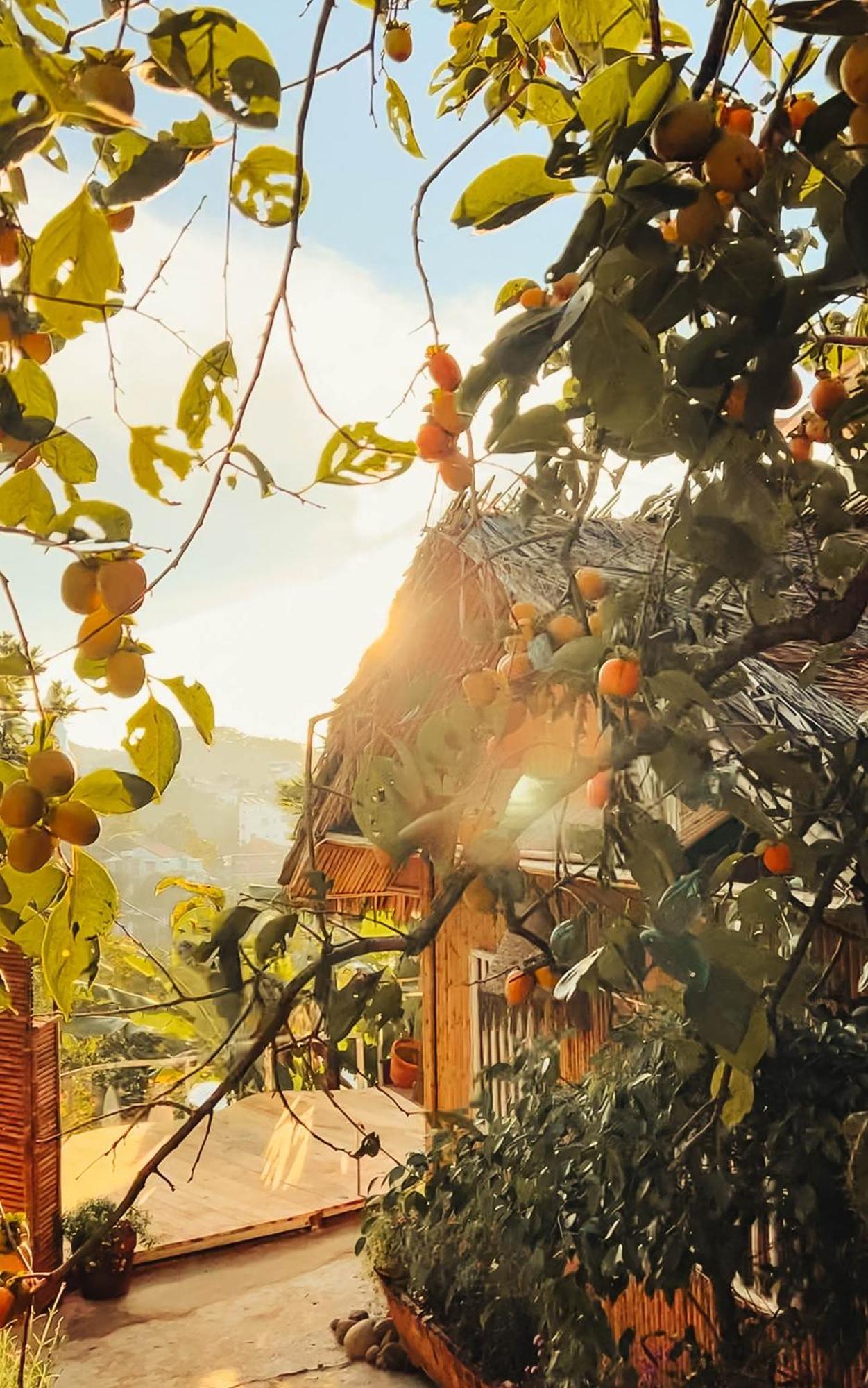 Nay Bungalow Dalat Экстерьер фото
